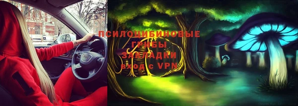 винт Ельня