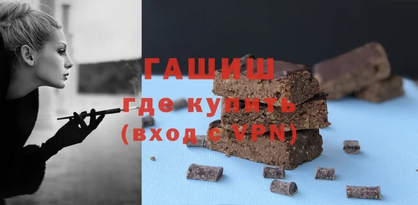 винт Ельня
