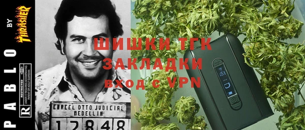 винт Ельня