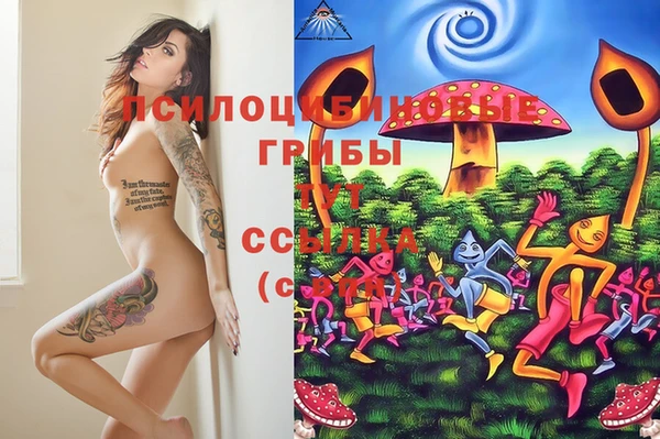 jwh Дмитриев